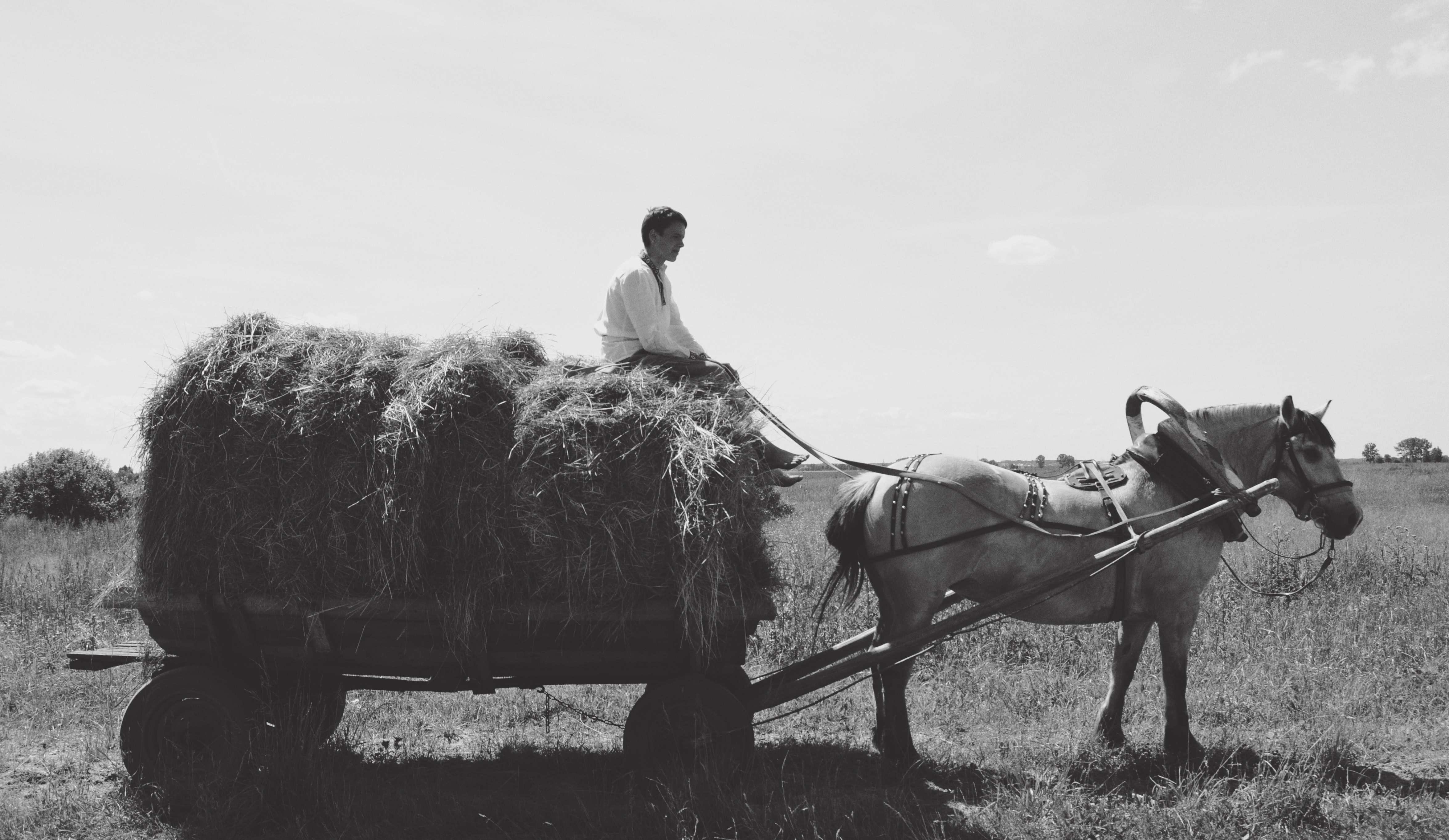 man on horse with wagon